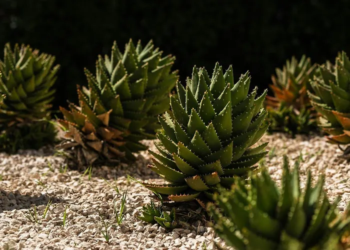 Delta Hotels By Marriott Olbia Sardinia